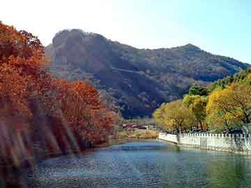 管家婆免费正版资起大全，岩峰湿喷机